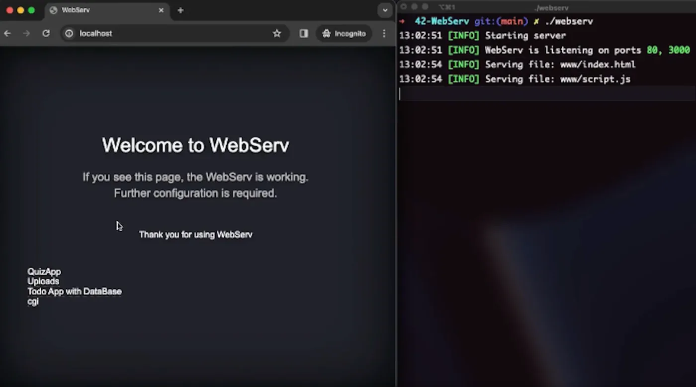 WebServ project illustration